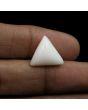 Japani White Coral 9.37 Carat 