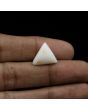 Japani White Coral 9.37 Carat 