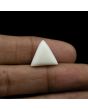Japani White Coral 9.18 Carat 