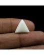 Japani White Coral 9.18 Carat 