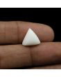 Japani White Coral 8.09 Carat 