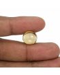 Hessonite (Gomed) - 12.26 Carat 