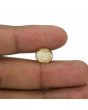 Hessonite (Gomed) - 5.48 Carat 