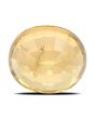 Hessonite (Gomed) - 8.77 Carat 