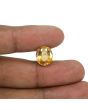 Hessonite (Gomed) - 8.77 Carat 