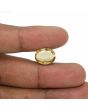 Hessonite (Gomed) - 8.88 Carat 