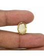 Hessonite (Gomed) - 8.88 Carat 