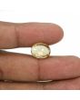 Hessonite (Gomed) - 8.88 Carat 