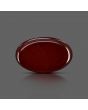 Red Yemeni Aqeeq 11.73 Carat 
