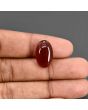 Red Yemeni Aqeeq 11.73 Carat 