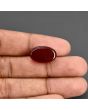 Red Yemeni Aqeeq 11.73 Carat 