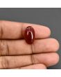 Red Yemeni Aqeeq 13.93 Carat 