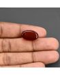 Red Yemeni Aqeeq 13.93 Carat 