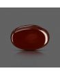 Red Yemeni Aqeeq 12.87 Carat 
