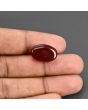 Red Yemeni Aqeeq 12.87 Carat 