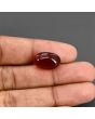 Red Yemeni Aqeeq 13.18 Carat 