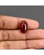 Red Yemeni Aqeeq 13.18 Carat 