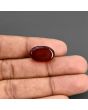 Red Yemeni Aqeeq 13.18 Carat 