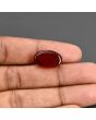 Red Yemeni Aqeeq 10.19 Carat 