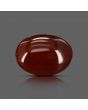 Red Yemeni Aqeeq 11 Carat 