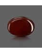 Red Yemeni Aqeeq 11 Carat 