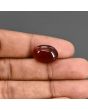 Red Yemeni Aqeeq 11 Carat 