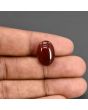 Red Yemeni Aqeeq 11 Carat 