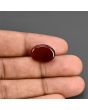 Red Yemeni Aqeeq 11 Carat 