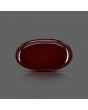 Red Yemeni Aqeeq 11.71 Carat 