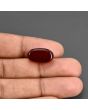 Red Yemeni Aqeeq 11.71 Carat 