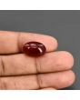 Red Yemeni Aqeeq 12.33 Carat 