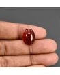 Red Yemeni Aqeeq 12.64 Carat 