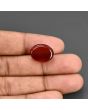 Red Yemeni Aqeeq 12.64 Carat 