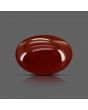 Red Yemeni Aqeeq 11.65 Carat 