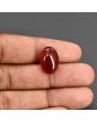 Red Yemeni Aqeeq 11.65 Carat 