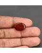 Red Yemeni Aqeeq 11.65 Carat 