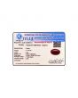 Red Yemeni Aqeeq 11.33 Carat 