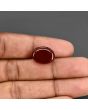 Red Yemeni Aqeeq 11.09 Carat 
