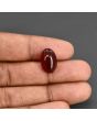 Red Yemeni Aqeeq 9.87 Carat 