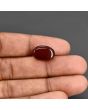 Red Yemeni Aqeeq 9.87 Carat 