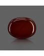 Red Yemeni Aqeeq 11.38 Carat 