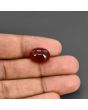 Red Yemeni Aqeeq 11.38 Carat 