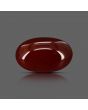 Red Yemeni Aqeeq 12.12 Carat 