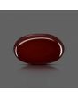 Red Yemeni Aqeeq 12.12 Carat 