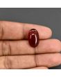Red Yemeni Aqeeq 12.12 Carat 