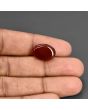 Red Yemeni Aqeeq 8.59 Carat 