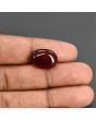 Red Yemeni Aqeeq 10.03 Carat 