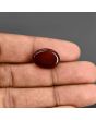 Red Yemeni Aqeeq 10.03 Carat 