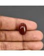 Red Yemeni Aqeeq 10.65 Carat 