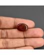 Red Yemeni Aqeeq 10.65 Carat 